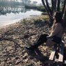 Mila Henry profil fotoğrafı