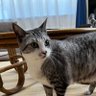 Фото профиля ラリーLarry
