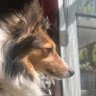 Jake L. Provo profil fotoğrafı