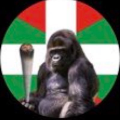 iratxelopxz's profile picture