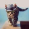 Danielle_020 ⚪❤⚪🇳🇱🎗's profile picture