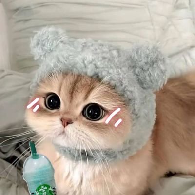 1mieayambakso's profile picture