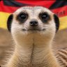 Mitschnagger profil fotoğrafı