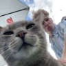 Profilbild von hycken