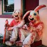 BunnyBasher profil fotoğrafı