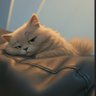 Profilbild von Phoenix Uno