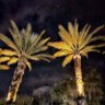 Фото профиля Shelby Marshall