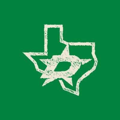 X - Dallas Stars's profile picture