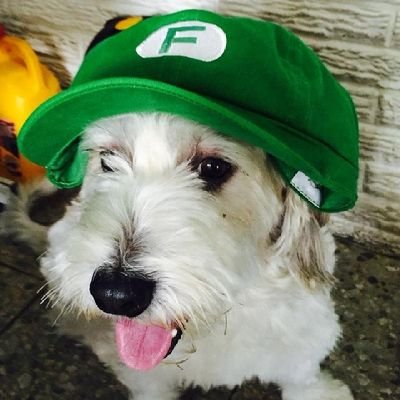 beberepeataftermemnopodemos's profile picture