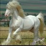 Фото профиля Aber
