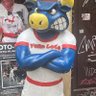 The Bull's profile picture