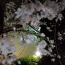 aikoo 的头像