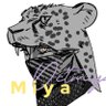 Mi ya 的头像