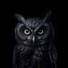 Ahmad๐ฉถ's profile picture