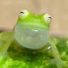 Фото профиля コドモドラゴン