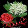 Laovejanegradelredil. Yolanda 的头像