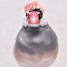 文鳥好きのとうふもち。 profil fotoğrafı
