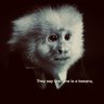 groypist's profile picture