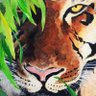 tiger🔥🔥🔥 profil fotoğrafı