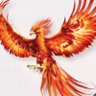Profilbild von العنقاء