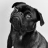 Guaranteed's profile picture