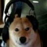 Fujiwara Takeda's profile picture