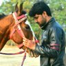 Santosh Kakde's profile picture
