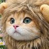 cipcioch's profile picture