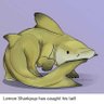 VoidVukaru (Lemon Shark)'s profile picture