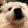 小洛's profile picture