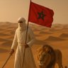 Youssef 🇲🇦🇵🇸's profile picture