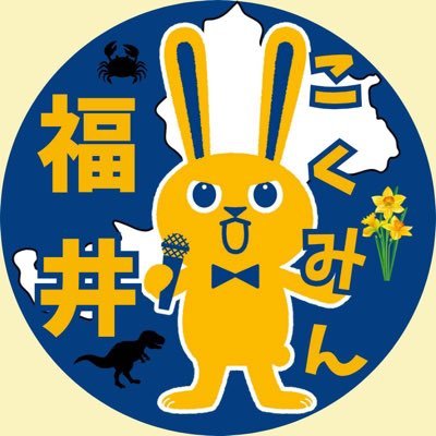 kokumin_fukui's profile picture