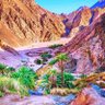 ً profil fotoğrafı