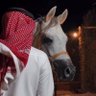 ولد الهاص 🤍💙 profil fotoğrafı