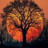 Фото профиля Amateur