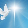 Dove ✝️ 的头像