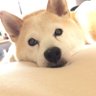 しままま's profile picture