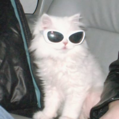 Narchysss's profile picture