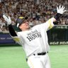 どすこいホットポット 的头像