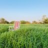 Фото профиля ناقد إيجابي