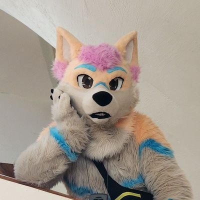 Spen 🐾's profile picture
