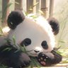 公公主 的头像