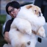 Peter R. 的头像