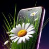 Basuney Eissa profil fotoğrafı