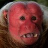 Paul Tucker's profile picture