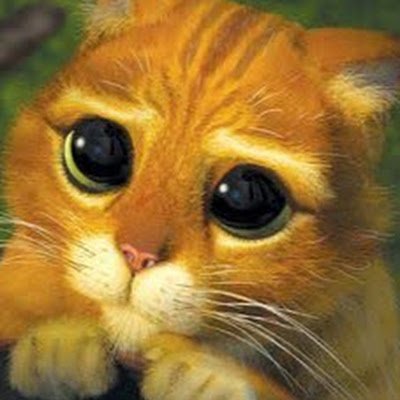 Andres's profile picture