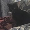 Spicy's profile picture