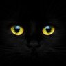 Profilbild von Sheppard