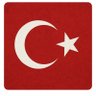 Profilbild von aybars ülkü han 🤘🇹🇷🇹🇷🤘