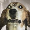 Profilbild von Dracula
